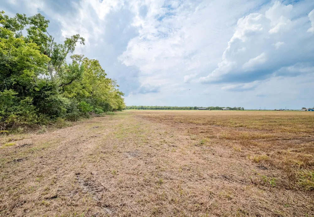 1 Charlie Meyer Road Damon, TX 77430