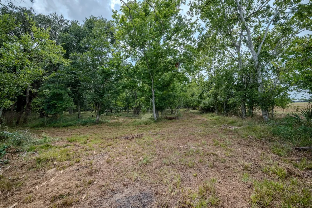 1 Charlie Meyer Road Damon, TX 77430