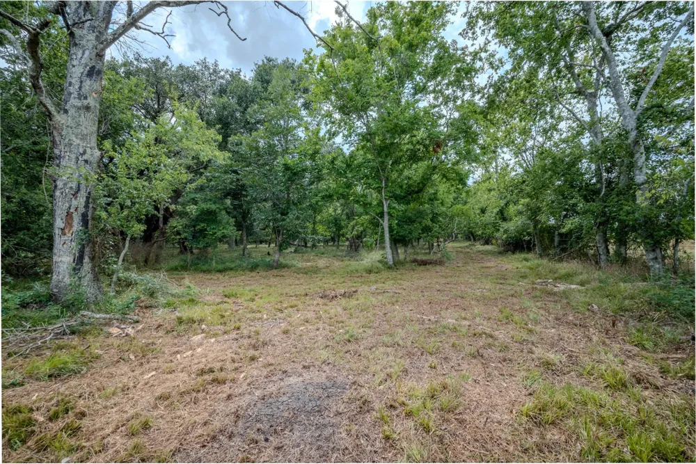 1 Charlie Meyer Road Damon, TX 77430