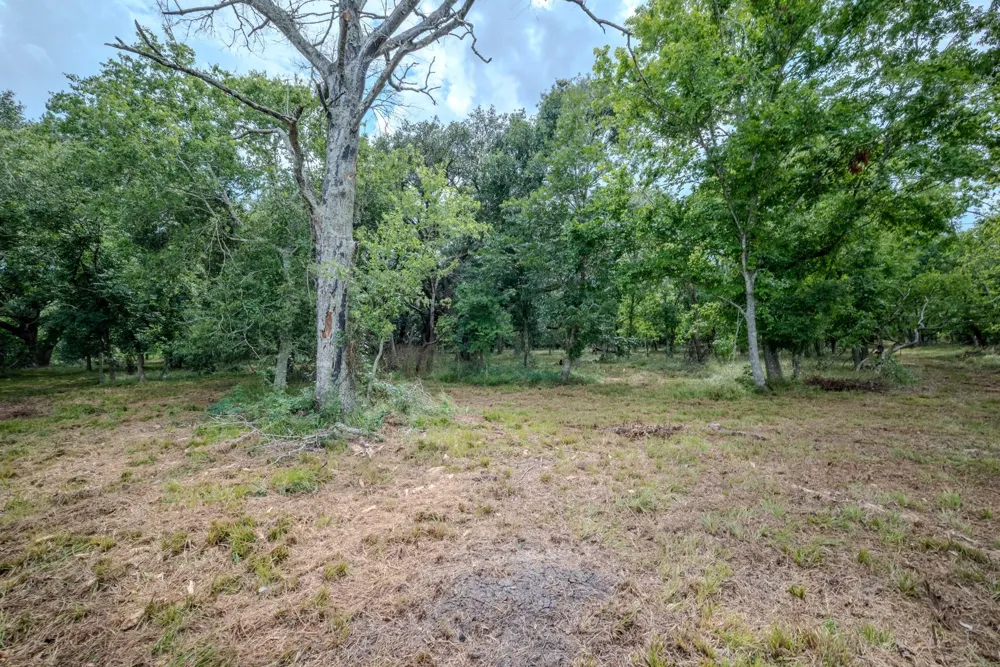 1 Charlie Meyer Road Damon, TX 77430