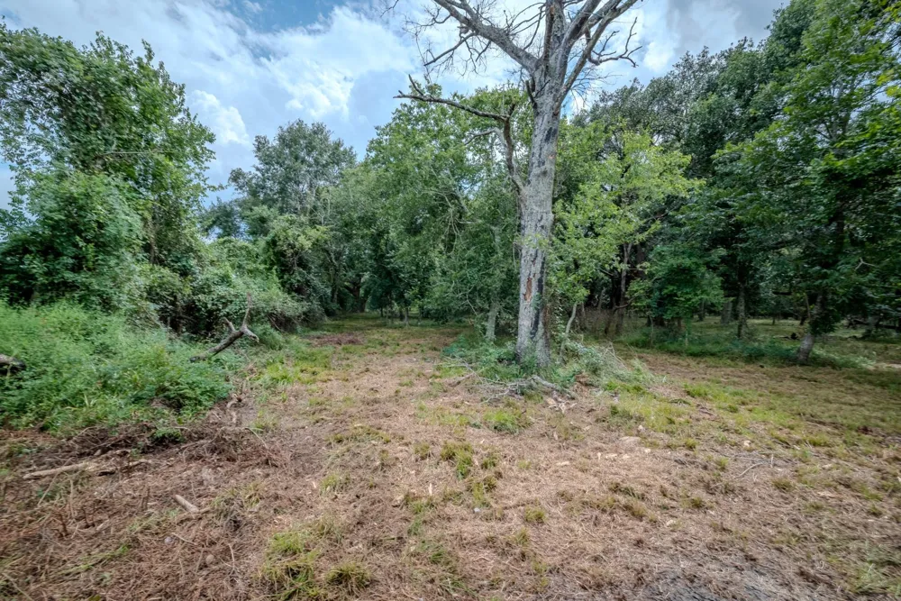 1 Charlie Meyer Road Damon, TX 77430