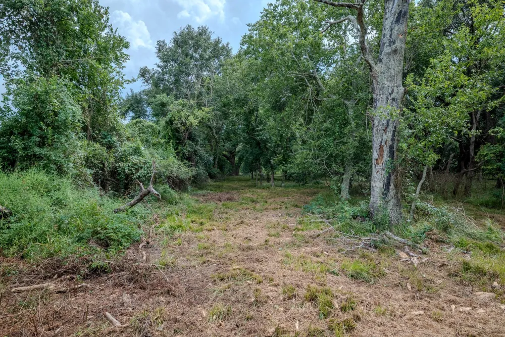 1 Charlie Meyer Road Damon, TX 77430
