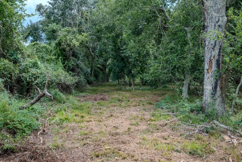 1 Charlie Meyer Road Damon, TX 77430