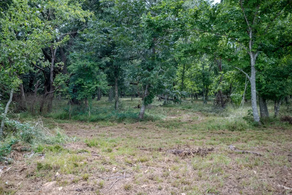 1 Charlie Meyer Road Damon, TX 77430
