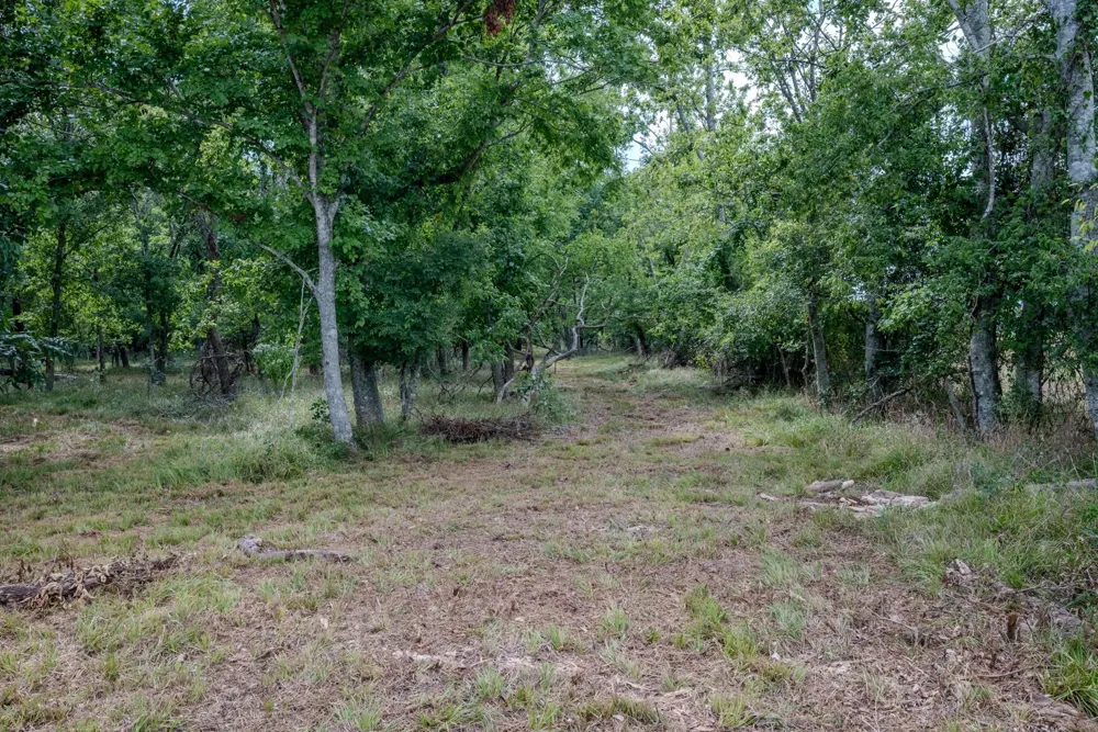 1 Charlie Meyer Road Damon, TX 77430
