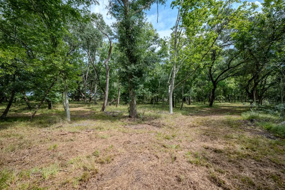 1 Charlie Meyer Road Damon, TX 77430