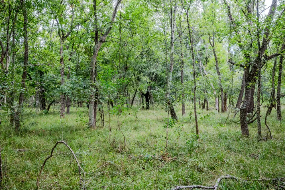1 Charlie Meyer Road Damon, TX 77430