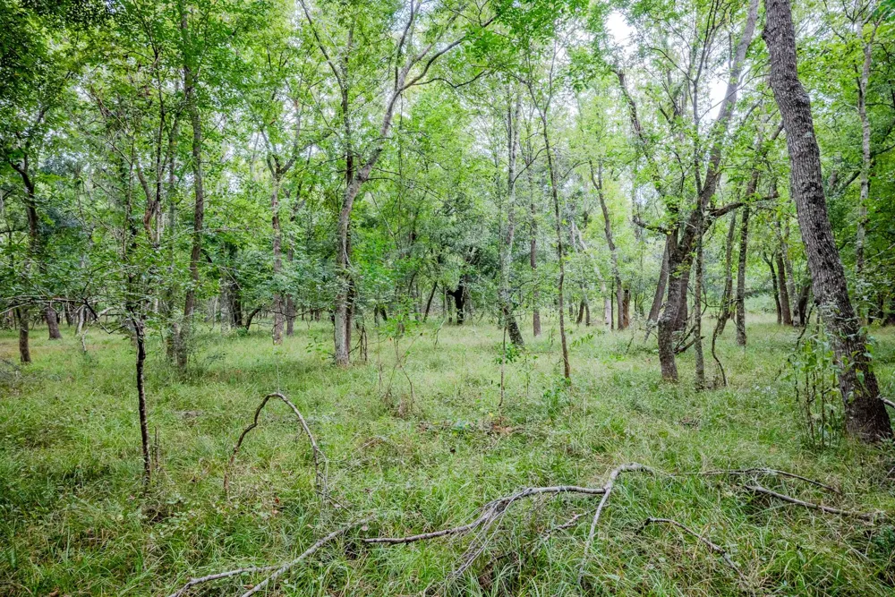 1 Charlie Meyer Road Damon, TX 77430