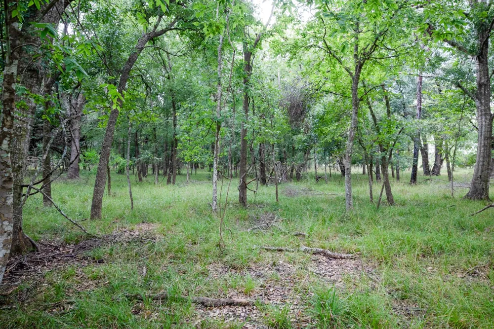 1 Charlie Meyer Road Damon, TX 77430