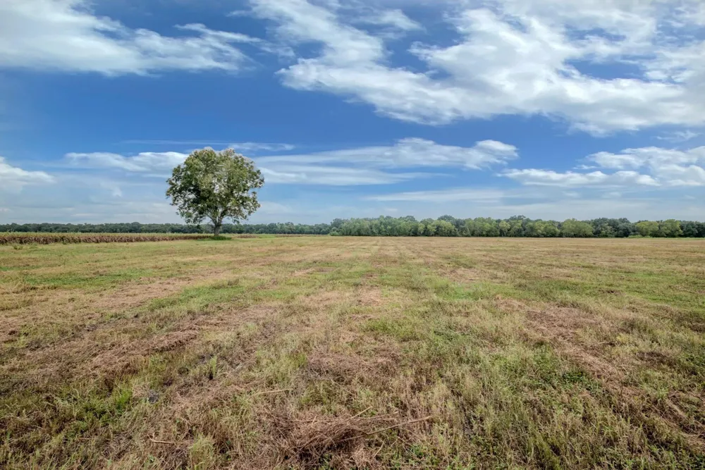 1 Charlie Meyer Road Damon, TX 77430