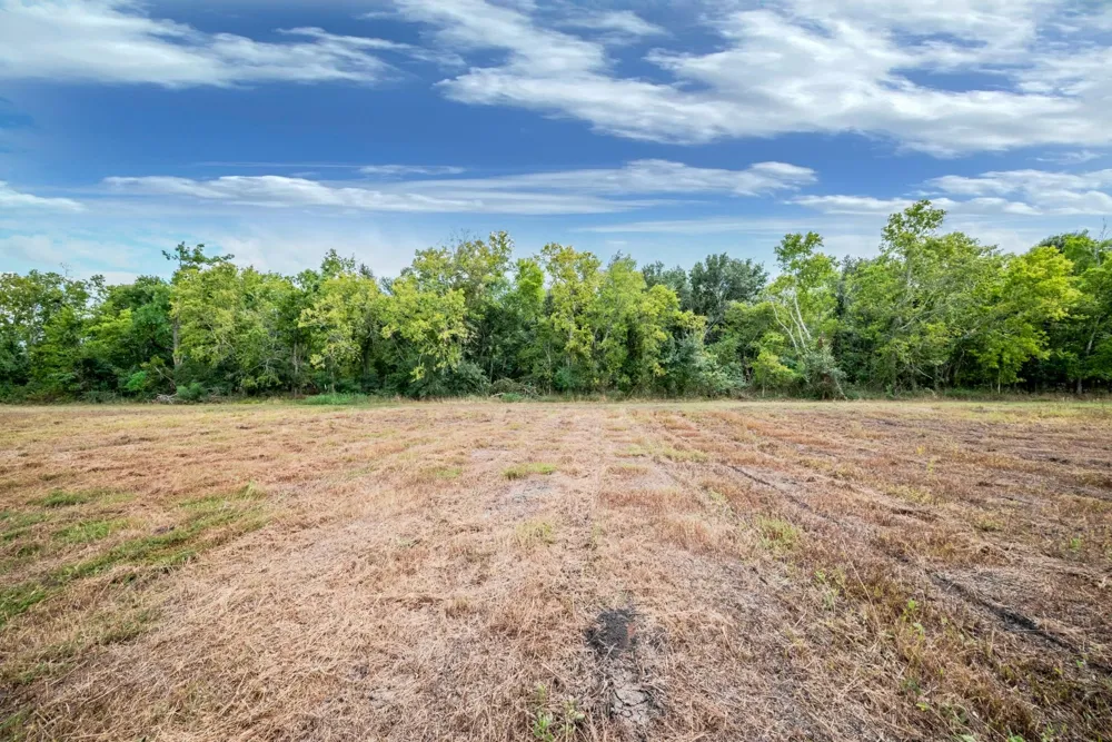 2 Charlie Meyer Road Damon, TX 77430