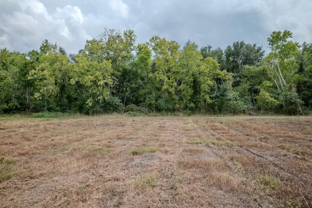 2 Charlie Meyer Road Damon, TX 77430