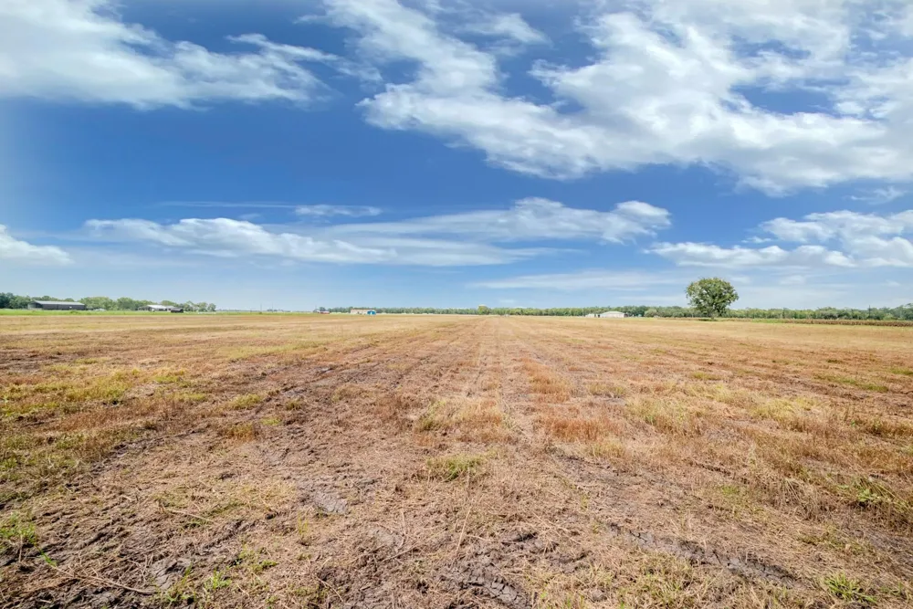 2 Charlie Meyer Road Damon, TX 77430