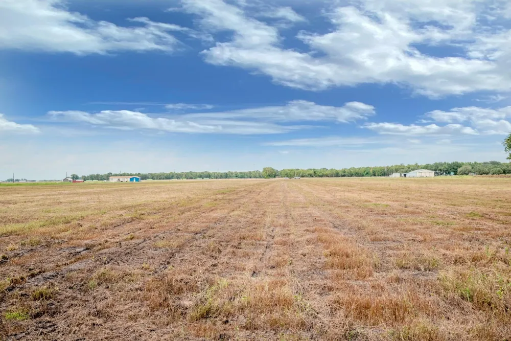 2 Charlie Meyer Road Damon, TX 77430