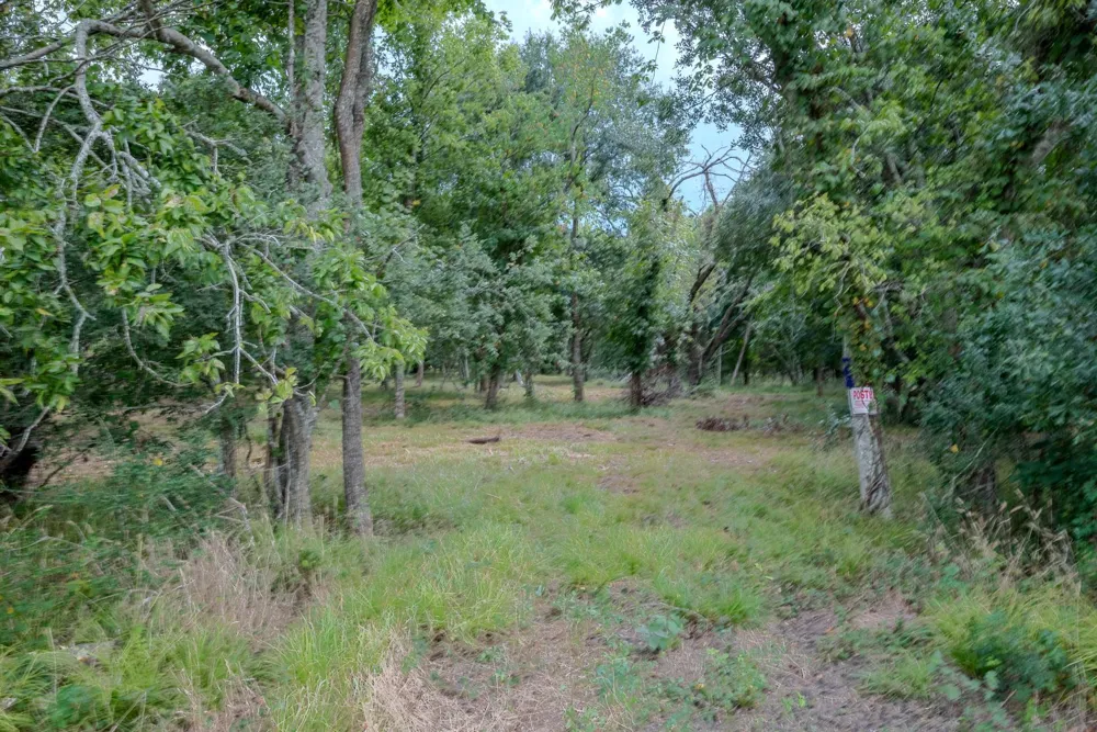 2 Charlie Meyer Road Damon, TX 77430