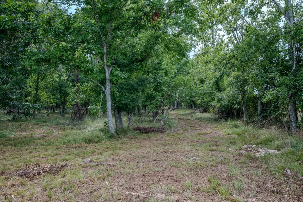 2 Charlie Meyer Road Damon, TX 77430