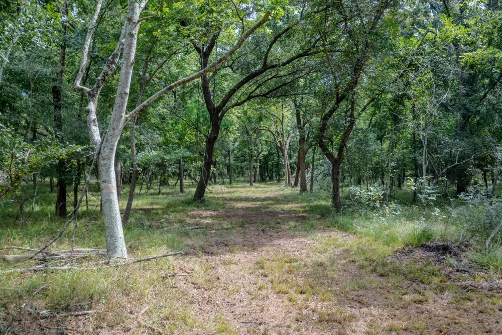 2 Charlie Meyer Road Damon, TX 77430