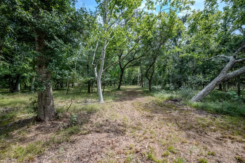2 Charlie Meyer Road Damon, TX 77430