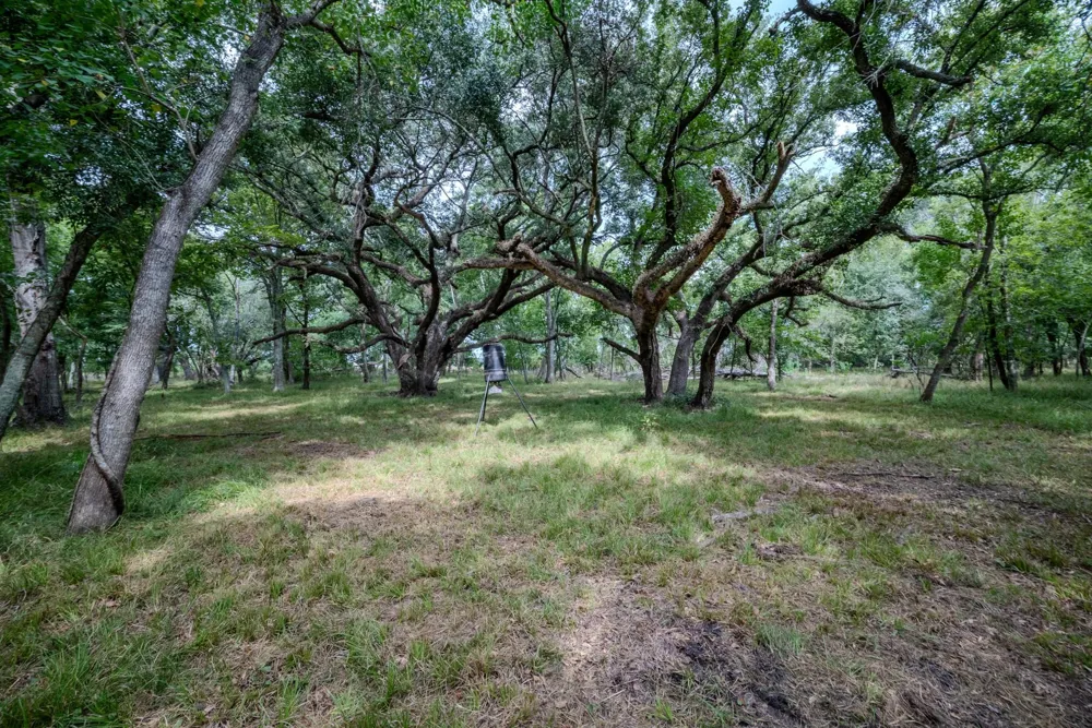 2 Charlie Meyer Road Damon, TX 77430