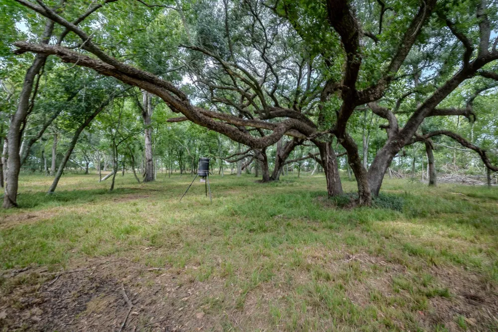 2 Charlie Meyer Road Damon, TX 77430