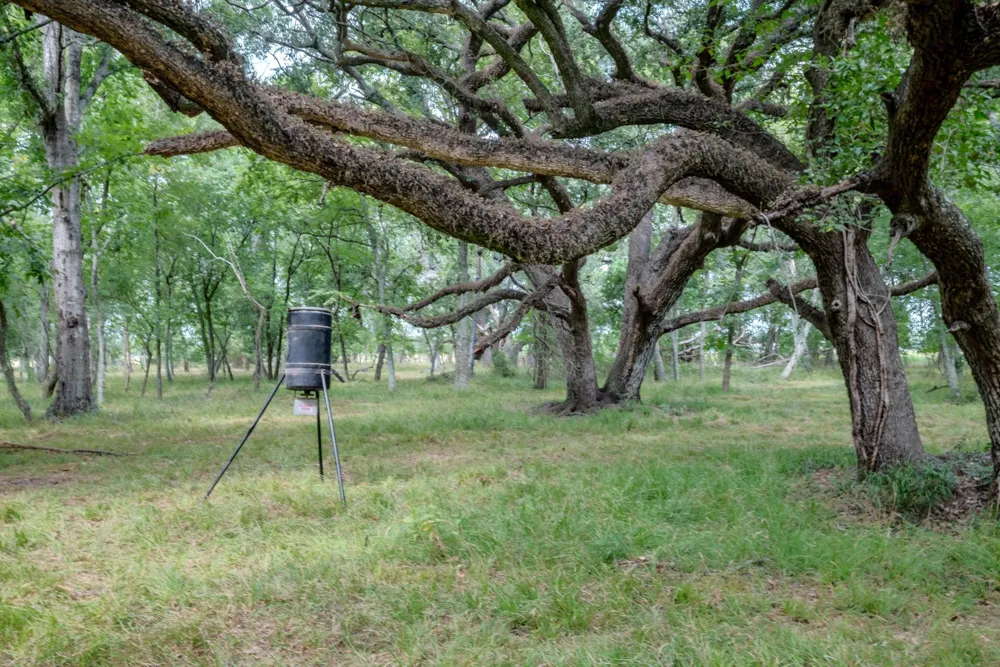 2 Charlie Meyer Road Damon, TX 77430