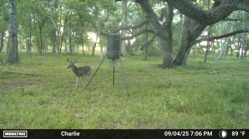 2 Charlie Meyer Road Damon, TX 77430