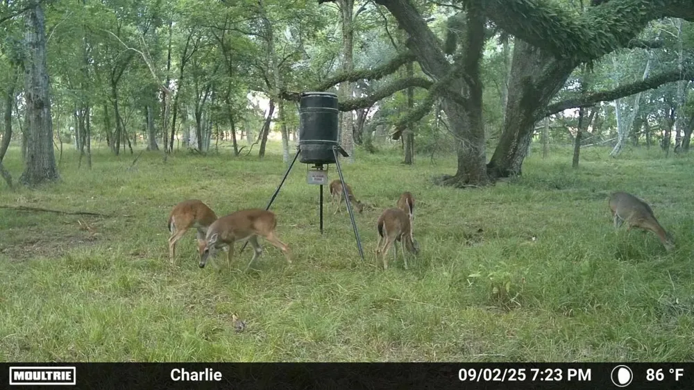 2 Charlie Meyer Road Damon, TX 77430