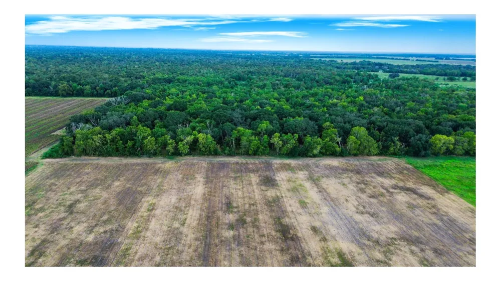 2 Charlie Meyer Road Damon, TX 77430