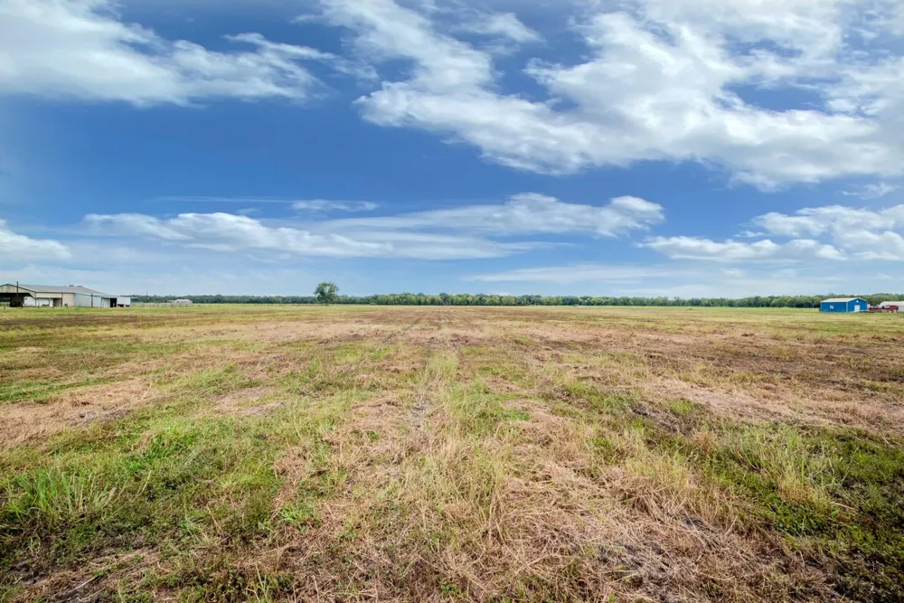 2 Charlie Meyer Road Damon, TX 77430