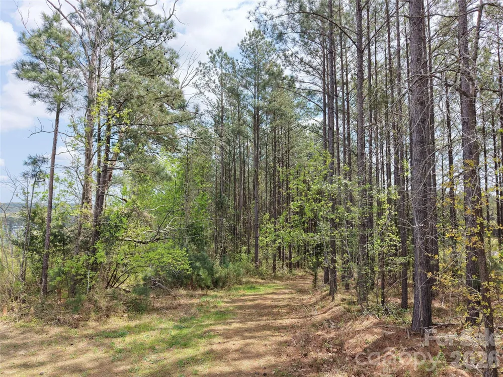 TBD Spencer Pointe Road Lilesville, NC 28091