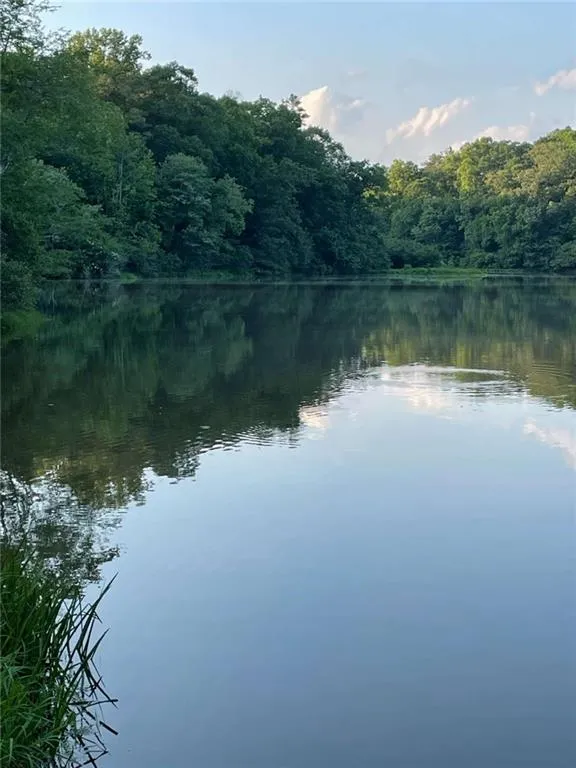 0 Us Highway 78 Tallapoosa, GA 30176