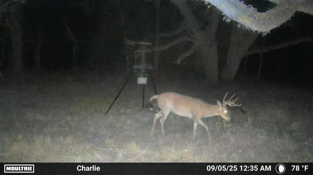 3 Charlie Meyer Road Damon, TX 77430