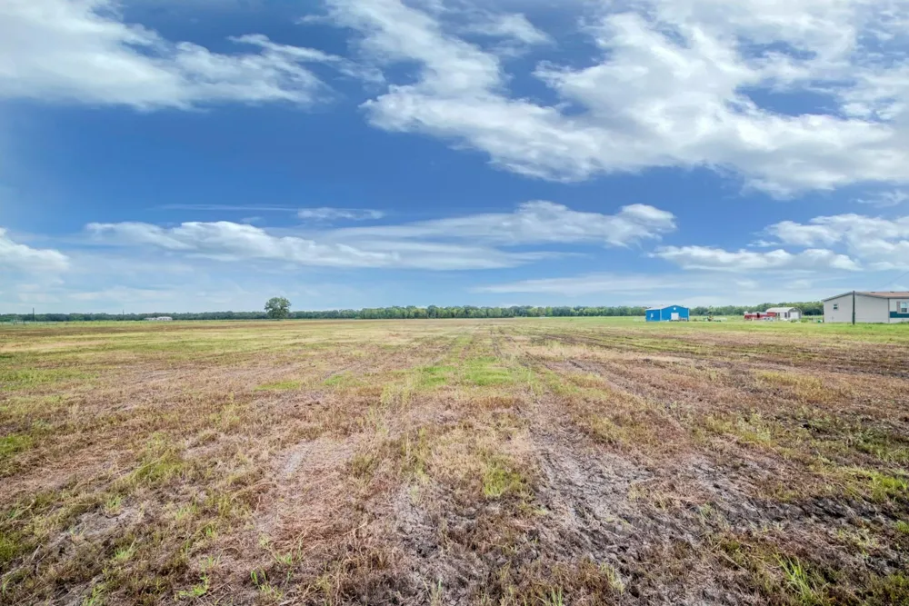 3 Charlie Meyer Road Damon, TX 77430