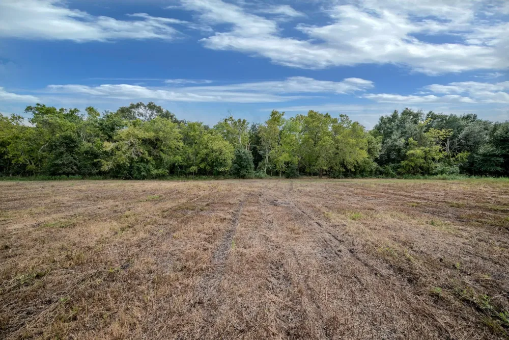 3 Charlie Meyer Road Damon, TX 77430