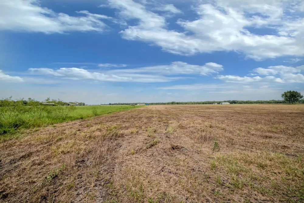 3 Charlie Meyer Road Damon, TX 77430