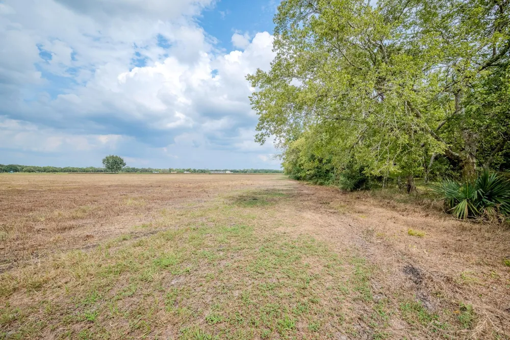 3 Charlie Meyer Road Damon, TX 77430