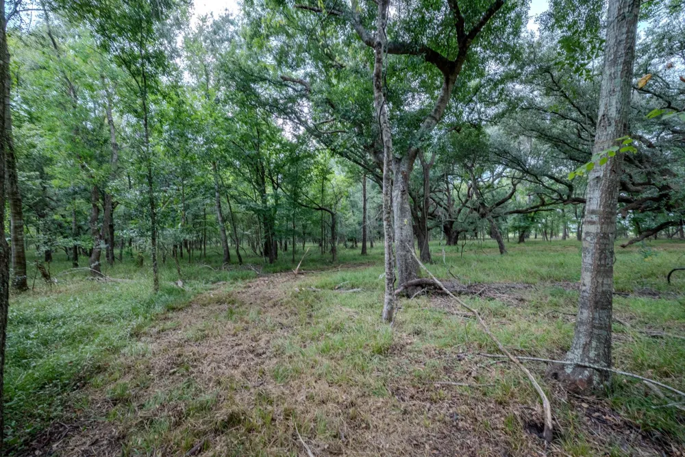 3 Charlie Meyer Road Damon, TX 77430