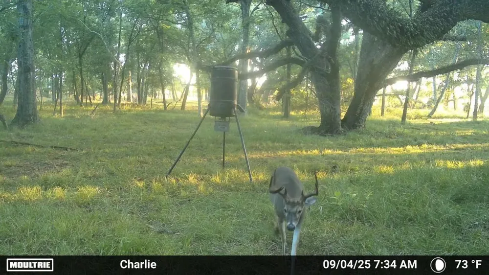 3 Charlie Meyer Road Damon, TX 77430