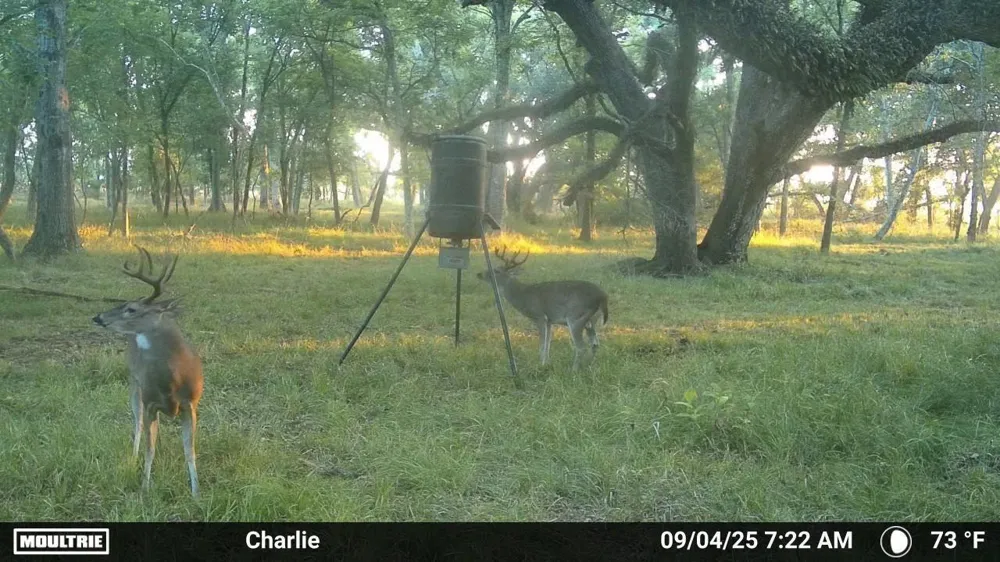 3 Charlie Meyer Road Damon, TX 77430
