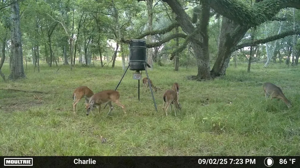 3 Charlie Meyer Road Damon, TX 77430
