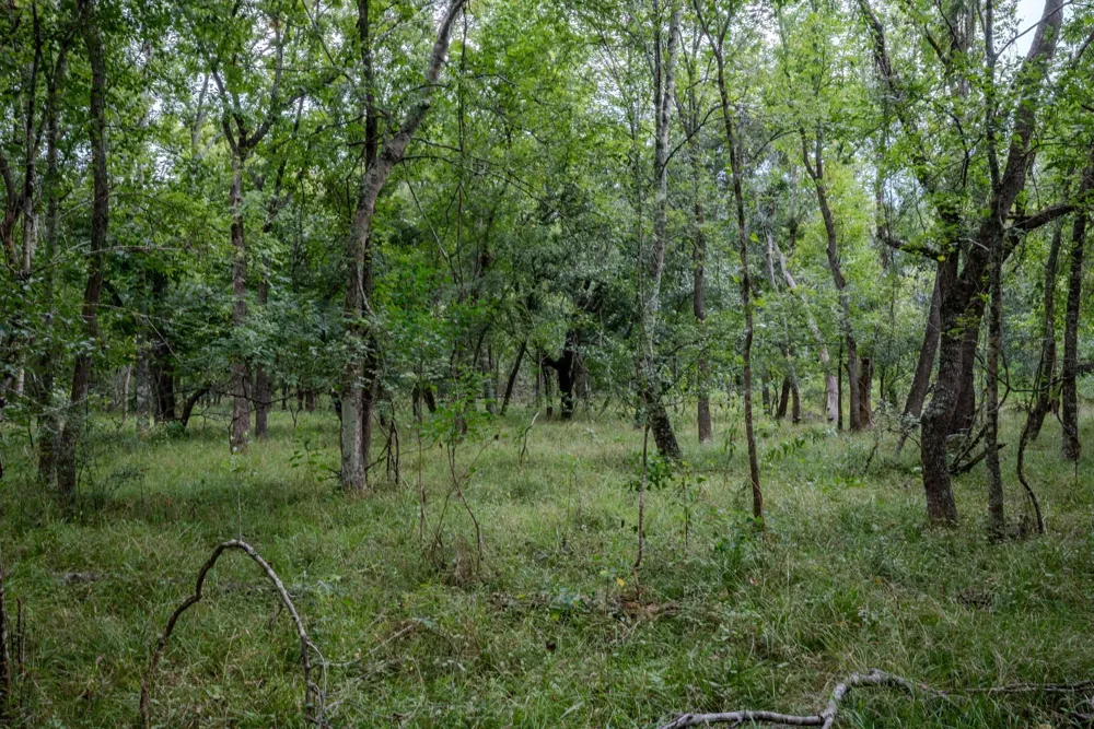 3 Charlie Meyer Road Damon, TX 77430