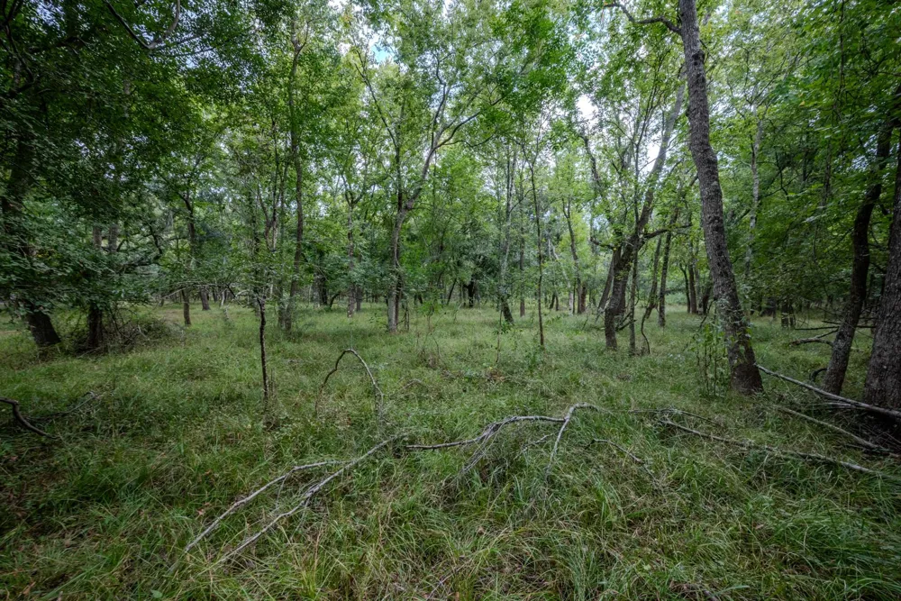 3 Charlie Meyer Road Damon, TX 77430