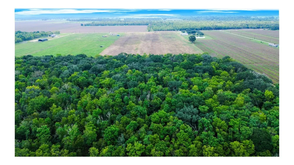3 Charlie Meyer Road Damon, TX 77430