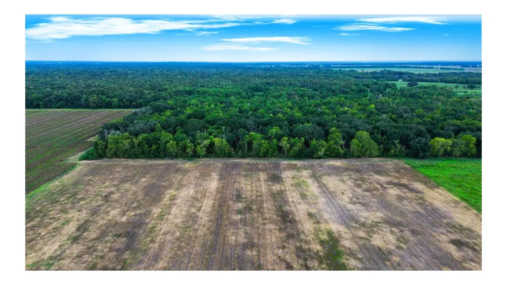 3 Charlie Meyer Road Damon, TX 77430