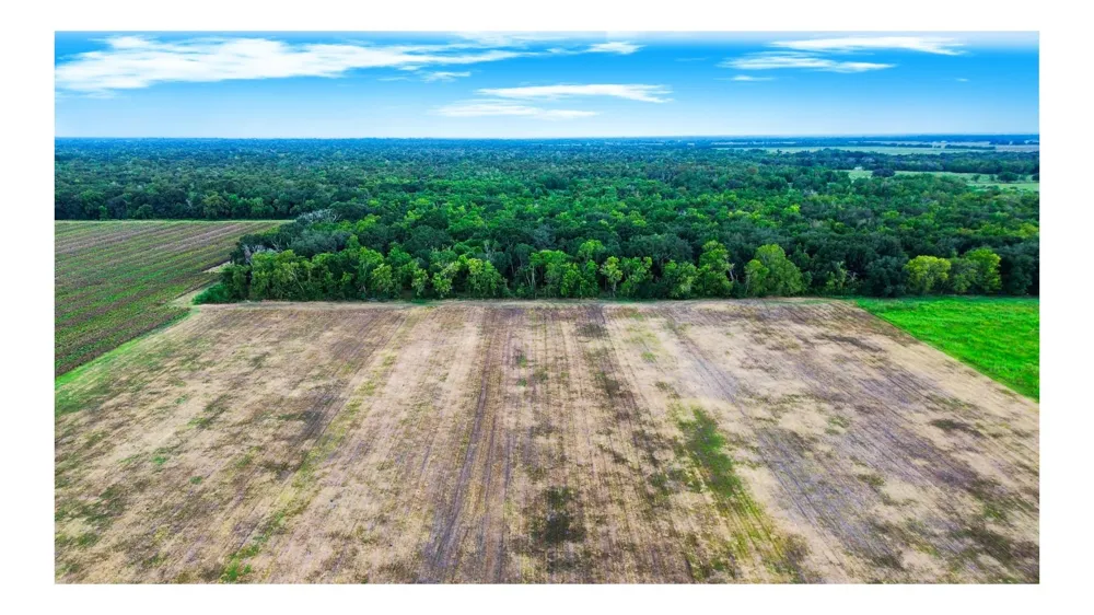 3 Charlie Meyer Road Damon, TX 77430