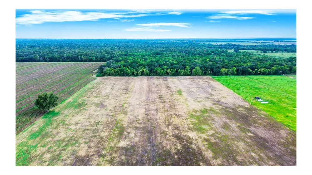 3 Charlie Meyer Road Damon, TX 77430