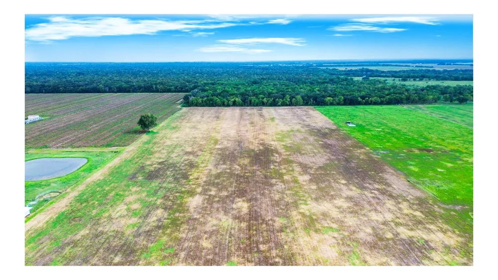 3 Charlie Meyer Road Damon, TX 77430