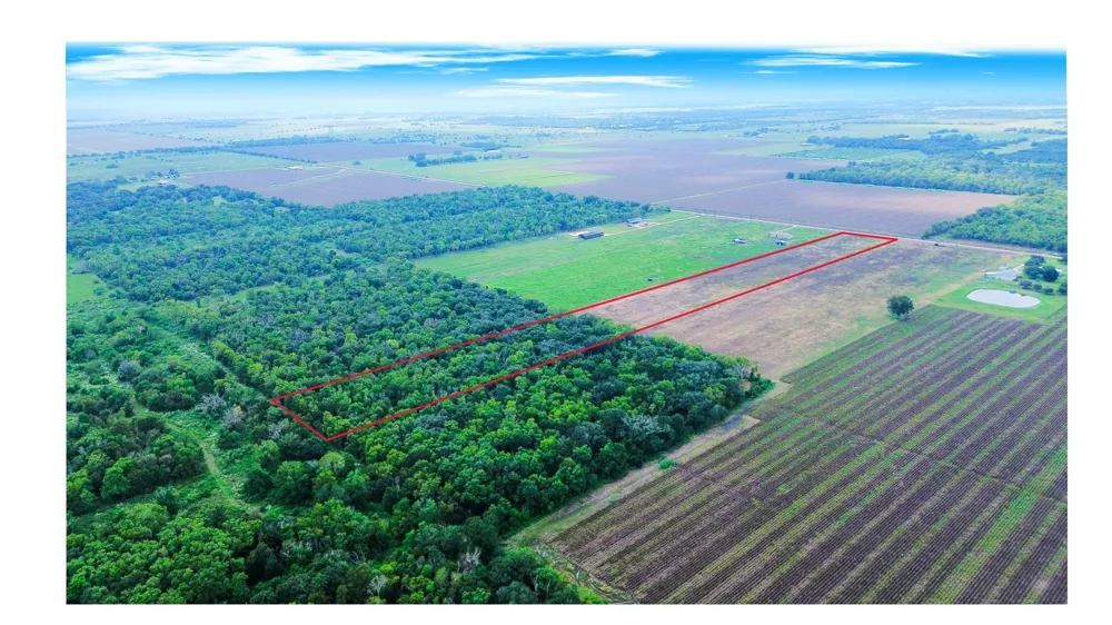 3 Charlie Meyer Road Damon, TX 77430