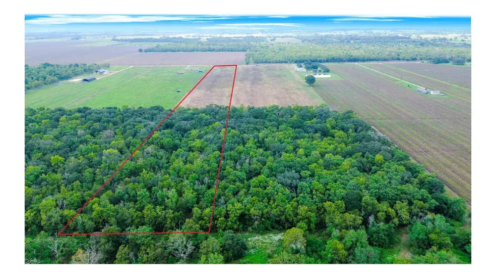 3 Charlie Meyer Road Damon, TX 77430