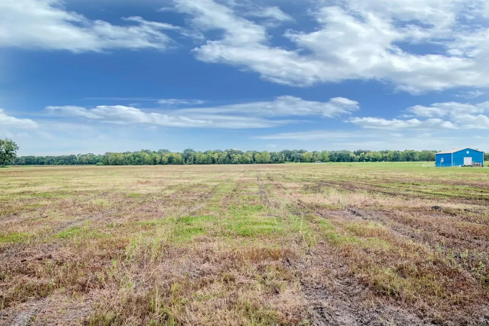 3 Charlie Meyer Road Damon, TX 77430